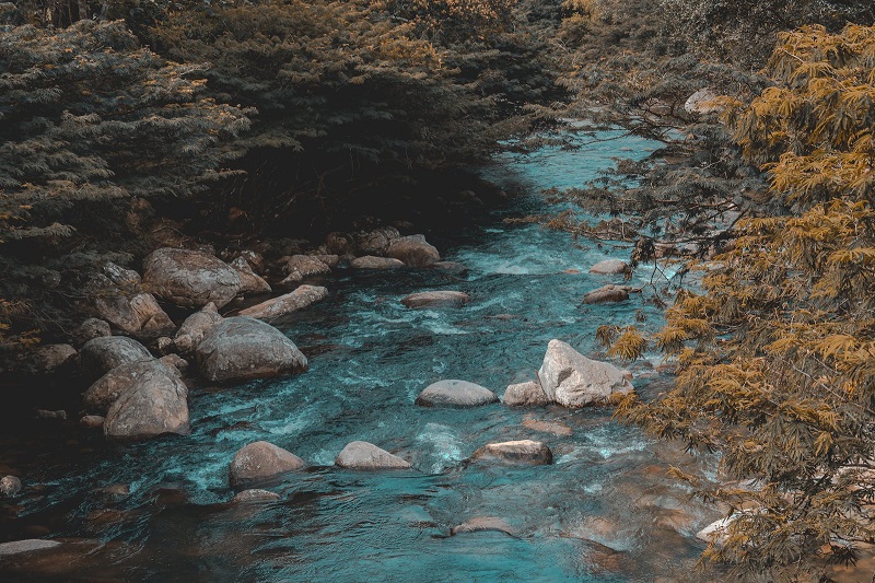 1724823441755493.jpg 53.jpg