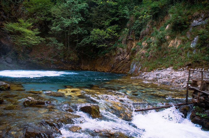 1727582451273331.jpg 200.jpg