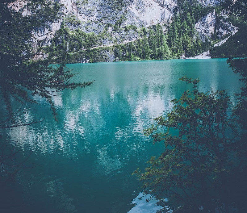 1763428925392902.jpg 80.jpg