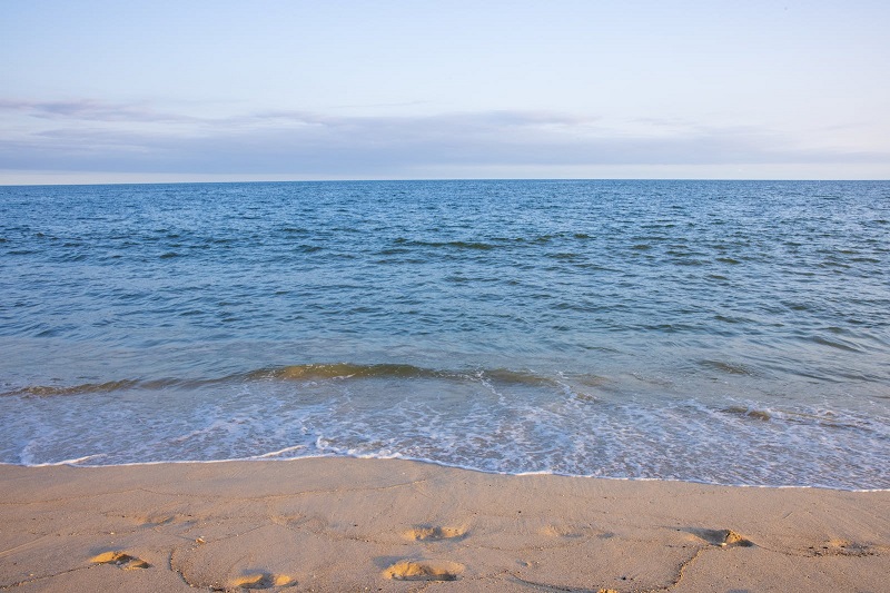 1764379342341569.jpg 48.jpg