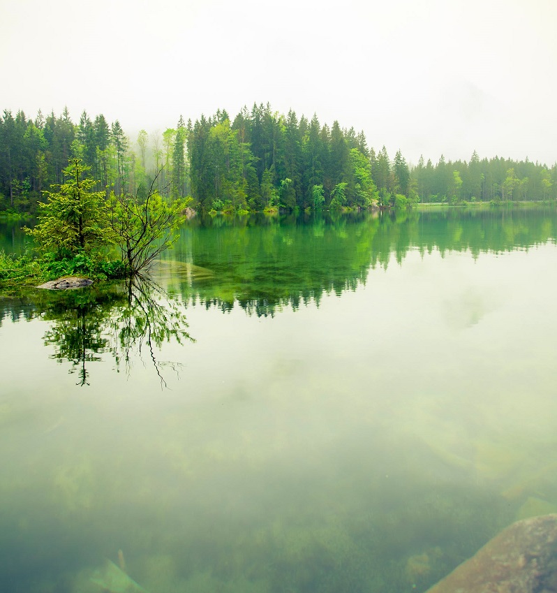 1764897888406486.jpg 34.jpg