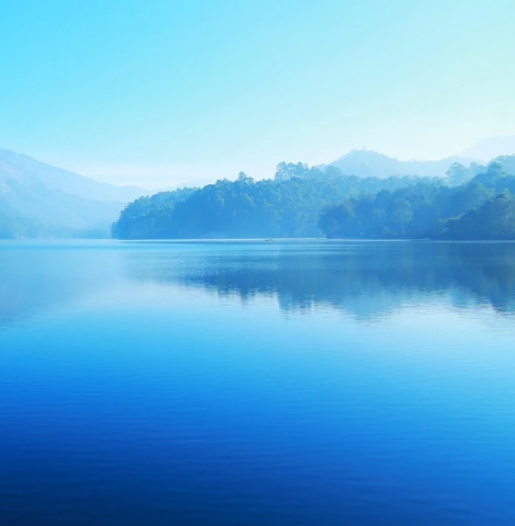 1765416382578919.jpg 12.jpg