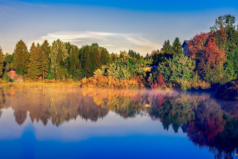 1766971150617801.jpg 198.jpg