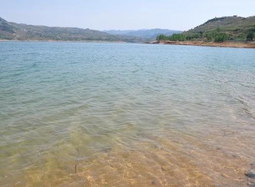 1774660614782600.jpg 20.jpg