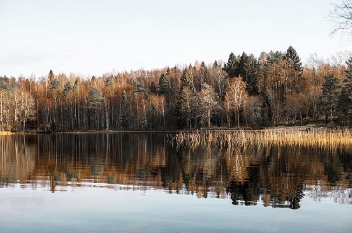 1775524832450833.jpg 218.jpg