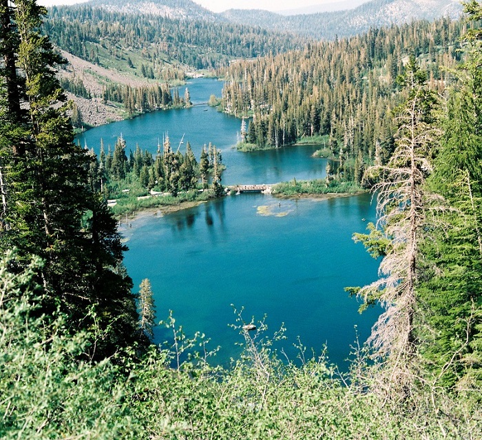 1781746106892018.jpg 44.jpg